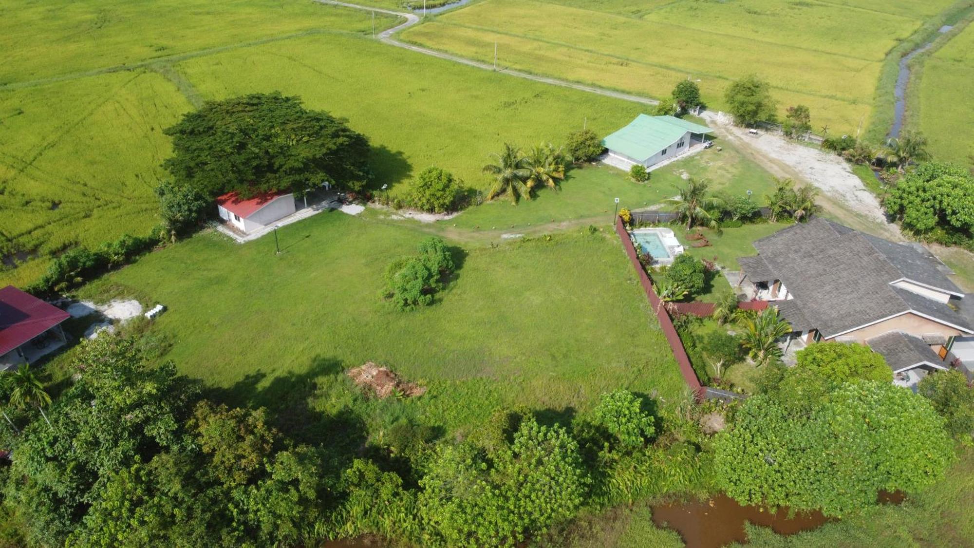 Tempoyak villa homestay Pantai Cenang  Luaran gambar