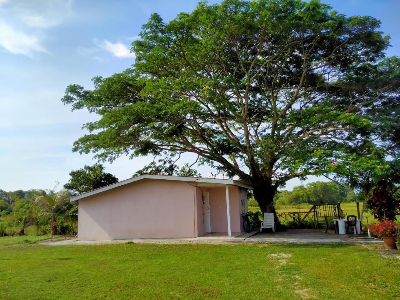 Tempoyak villa homestay Pantai Cenang  Luaran gambar