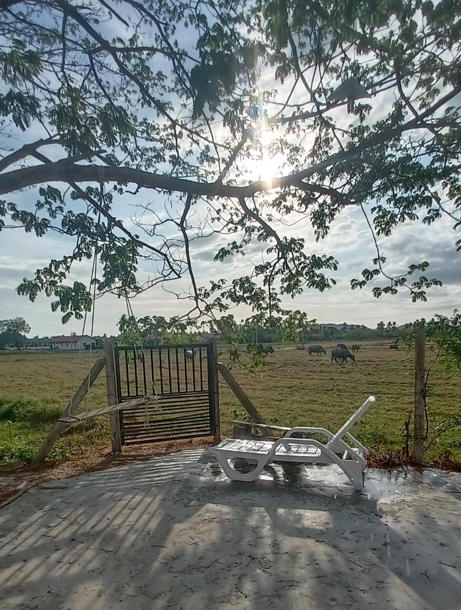 Tempoyak villa homestay Pantai Cenang  Bilik gambar