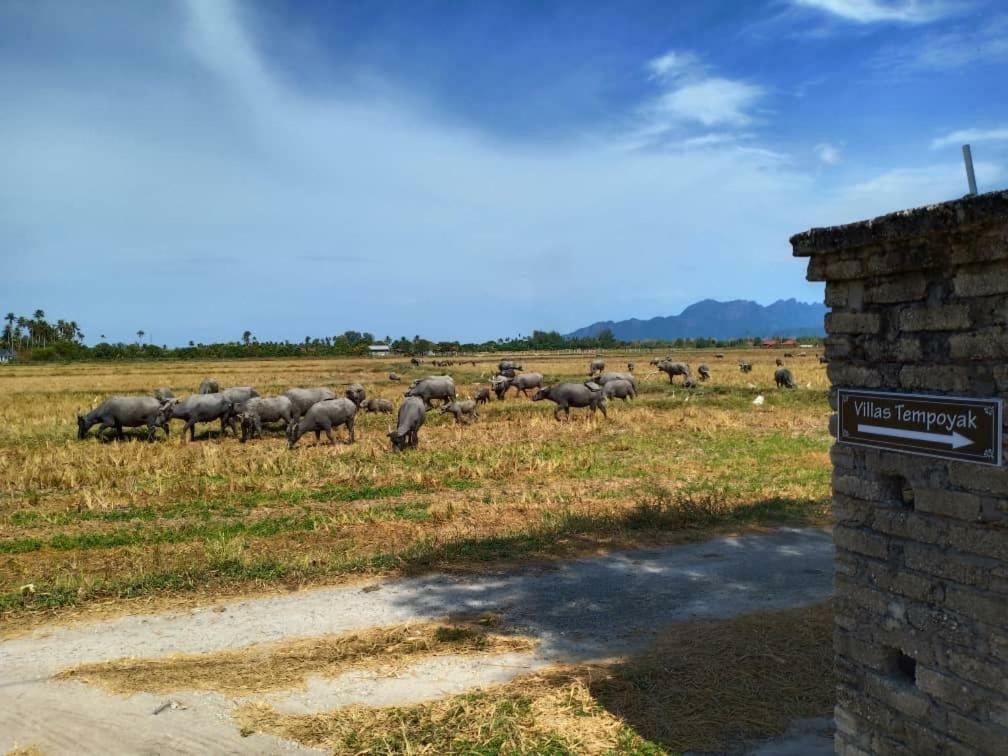Tempoyak villa homestay Pantai Cenang  Luaran gambar