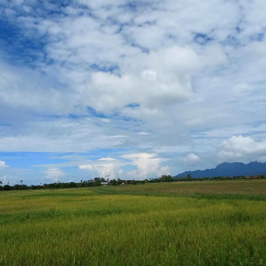 Tempoyak villa homestay Pantai Cenang  Luaran gambar