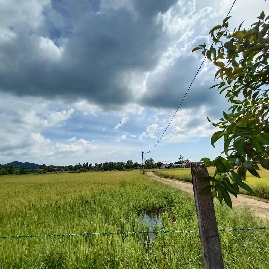 Tempoyak villa homestay Pantai Cenang  Luaran gambar